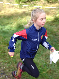 km 2024 maja