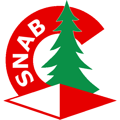 Logo Indre hvid baggr