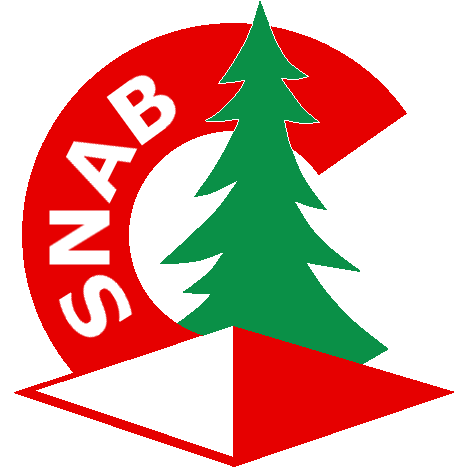Logo Indre transparent
