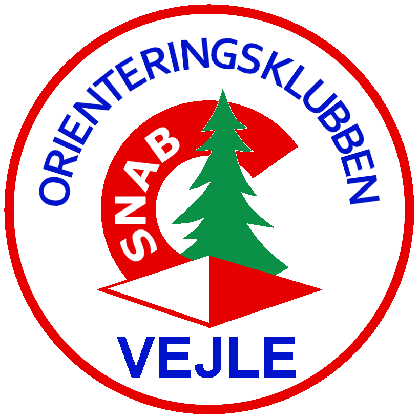 Logo stort m ring transparent
